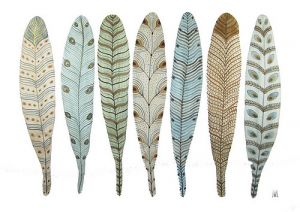 feathers - Pictures of feathers - Luscious blog - live a luscious life.jpg